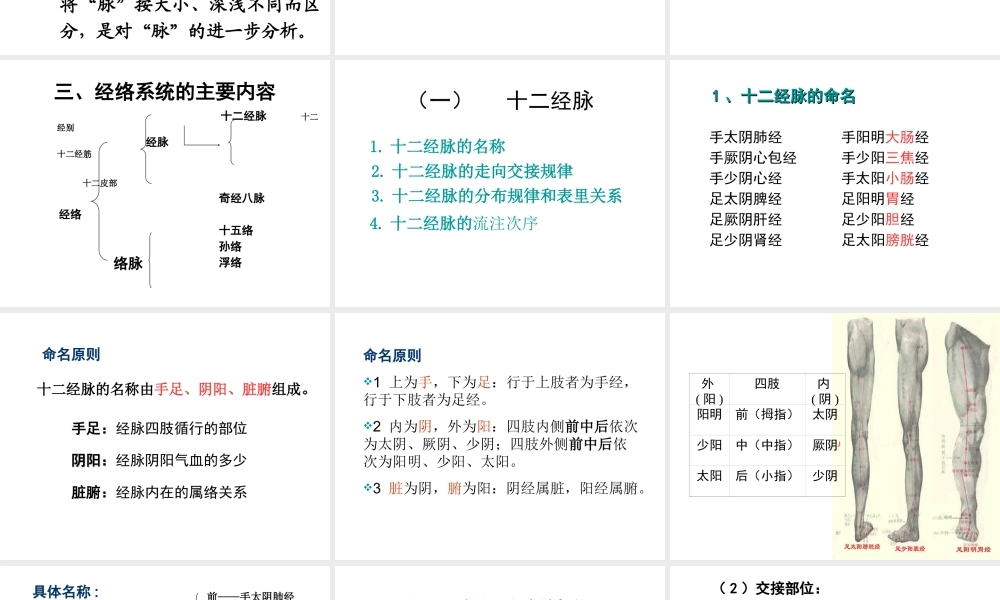 42经络-腧穴学(1).ppt