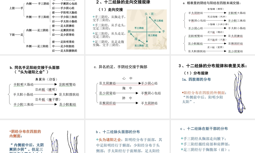 42经络-腧穴学(1).ppt