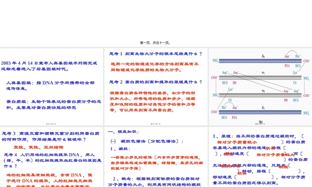 43血红蛋白提取.pptx