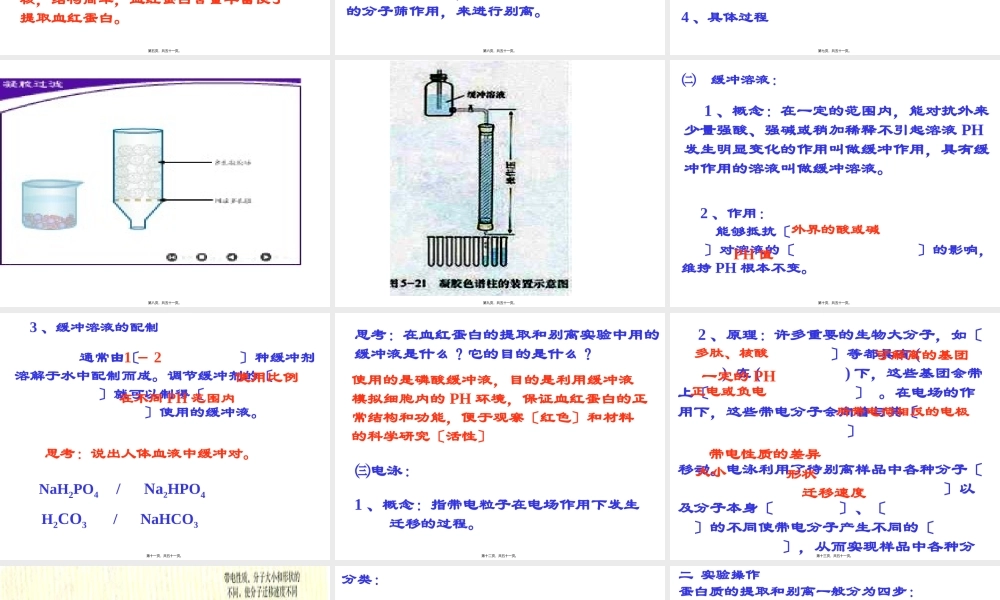 43血红蛋白提取.pptx