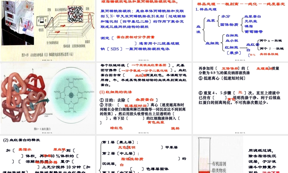 43血红蛋白提取.pptx