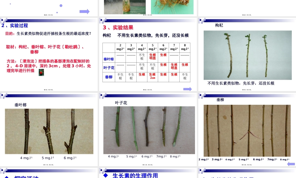 4495kj-生长素的生理作用ppt.pptx