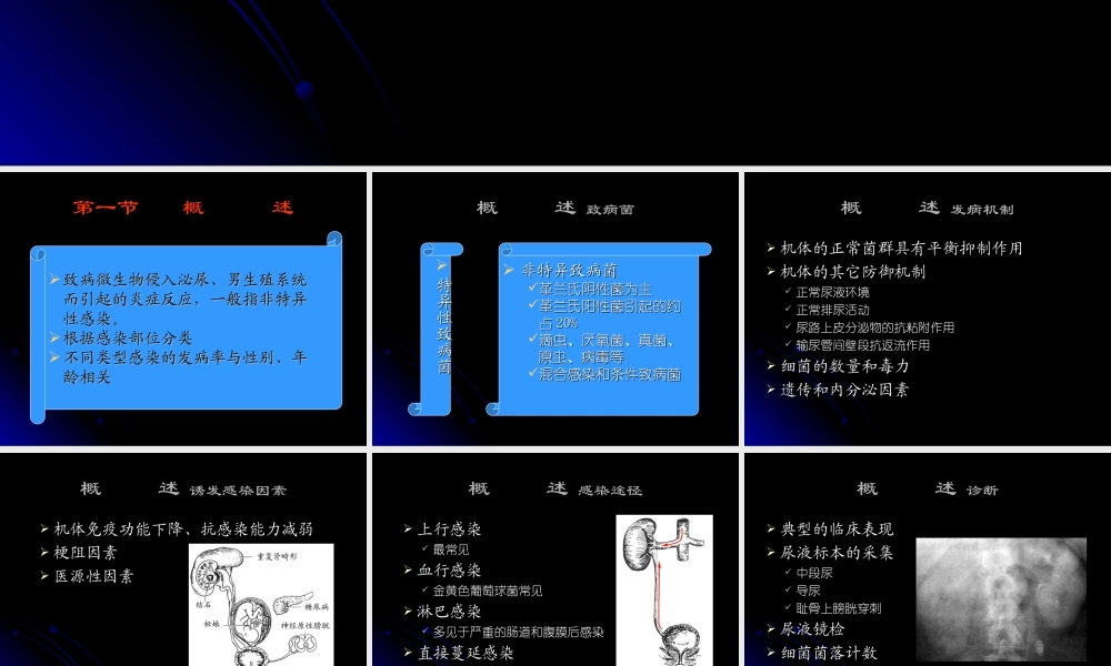 45泌尿科-泌尿、男性生殖系统感染七年制(1).ppt