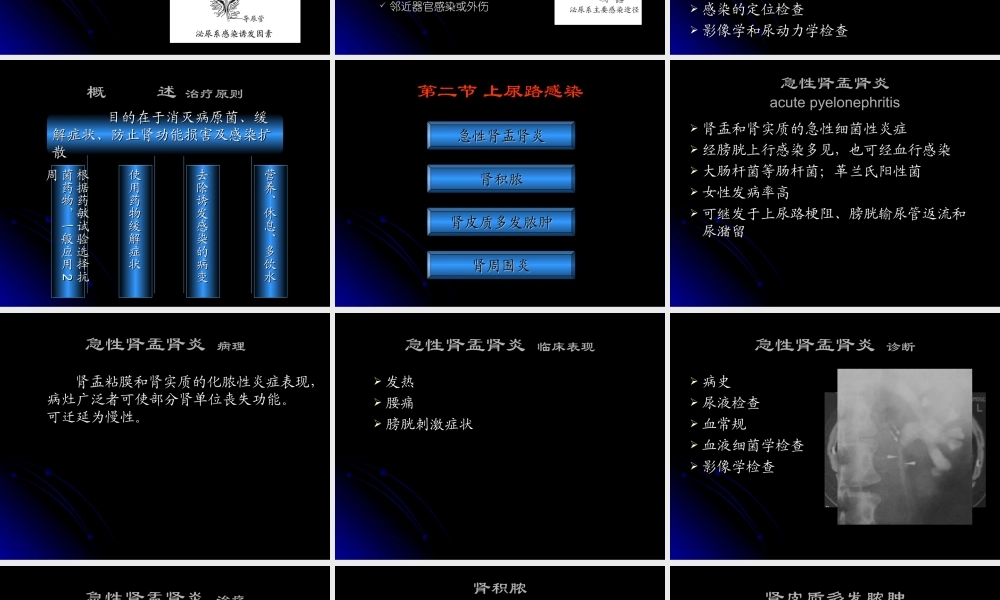 45泌尿科-泌尿、男性生殖系统感染七年制(1).ppt