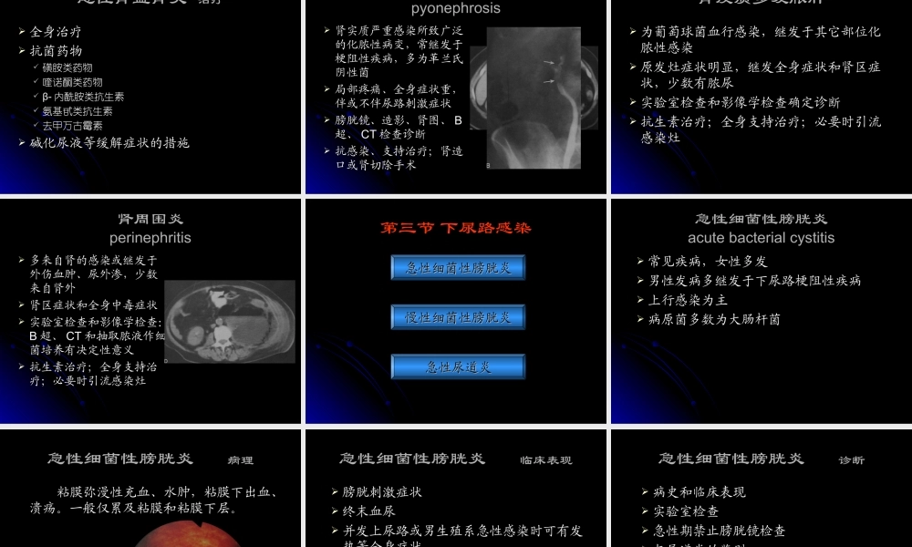 45泌尿科-泌尿、男性生殖系统感染七年制(1).ppt