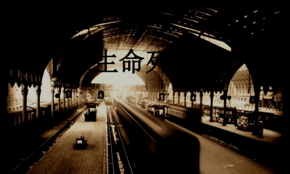44：生命的列车.pptx