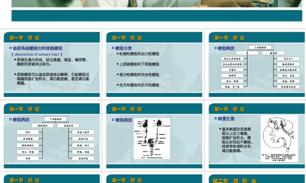 47泌尿科-泌尿系统梗阻(1).ppt