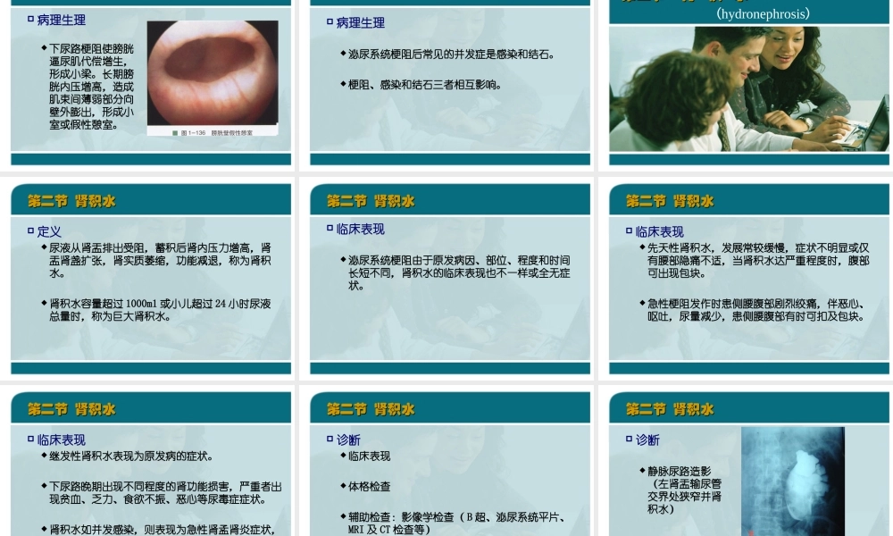 47泌尿科-泌尿系统梗阻(1).ppt
