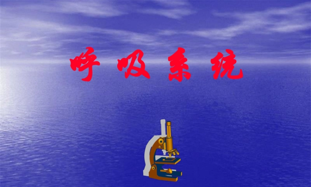 48学时系解-呼吸系统.pptx