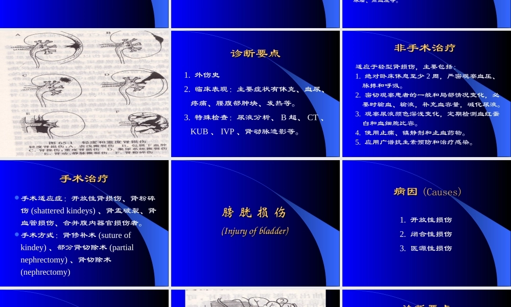 48泌尿科-泌尿系统损伤 (1).ppt