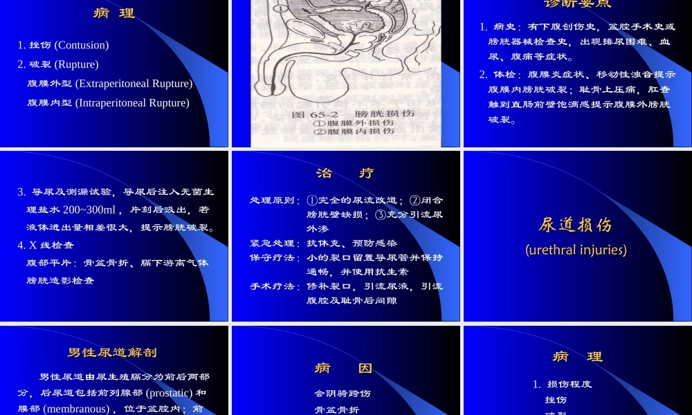 48泌尿科-泌尿系统损伤 (1).ppt