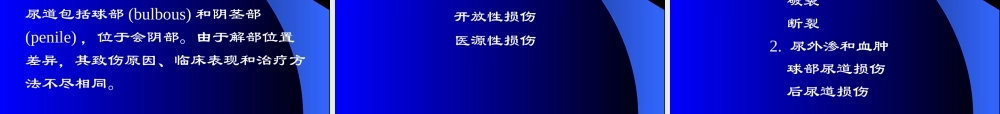 48泌尿科-泌尿系统损伤 (1).ppt