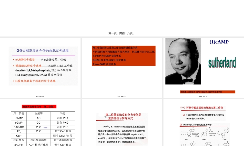 4G蛋白偶联信号通路-(2)汇总.pptx