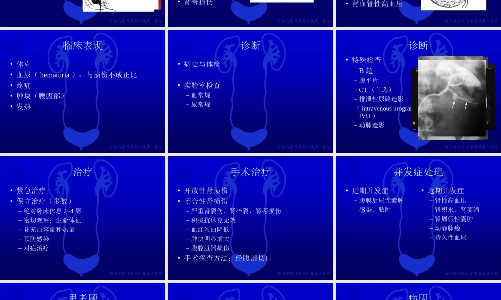 49泌尿科-泌尿系统损伤(1).ppt