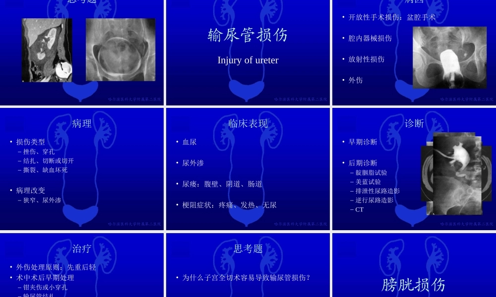 49泌尿科-泌尿系统损伤(1).ppt
