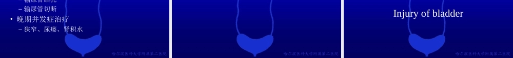 49泌尿科-泌尿系统损伤(1).ppt