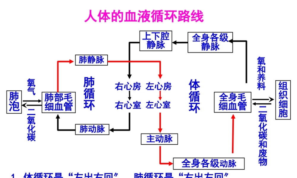 4人体的排泄PPT2.pptx