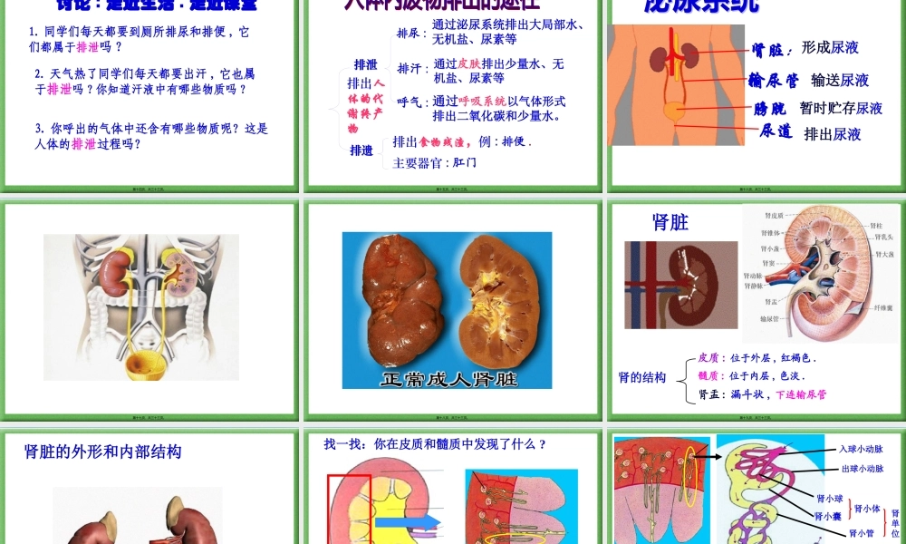 4人体的排泄PPT2.pptx
