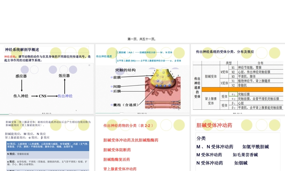 4传出神经系统药汇总.pptx