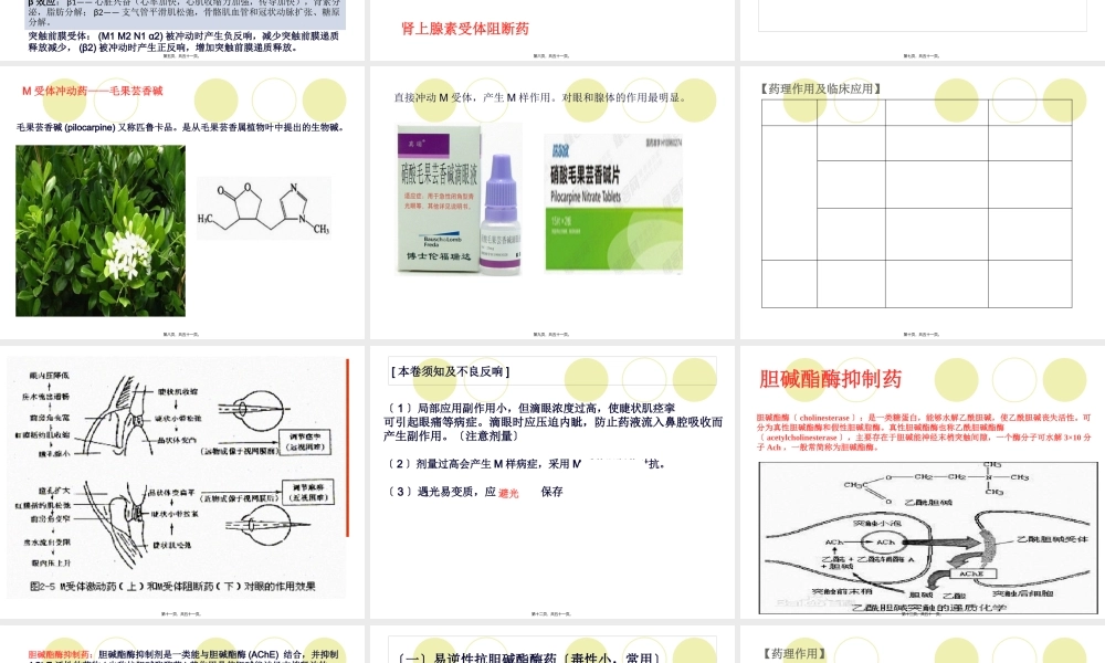 4传出神经系统药汇总.pptx