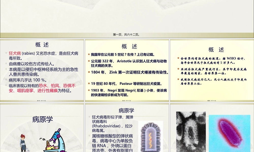 4狂犬病(新).pptx