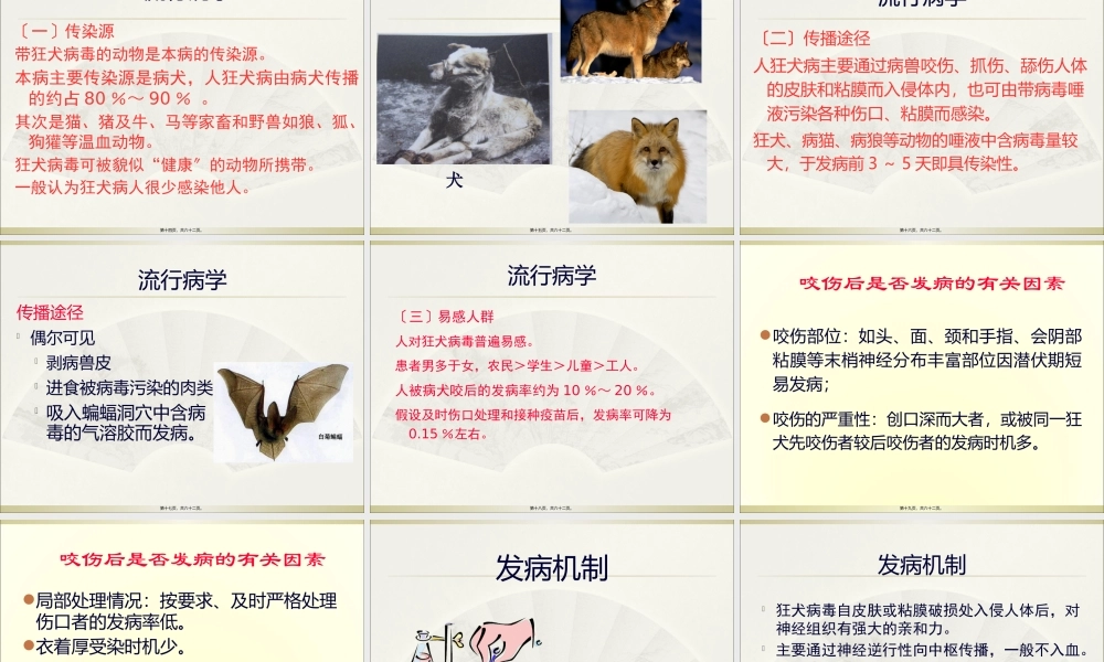 4狂犬病(新).pptx