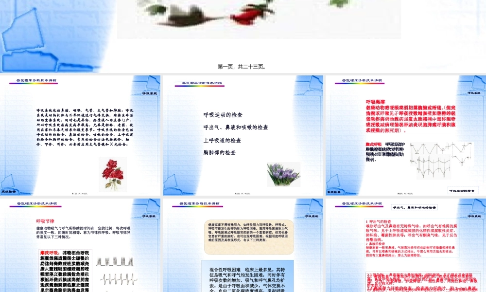 4第四章--呼吸系统的检查.pptx