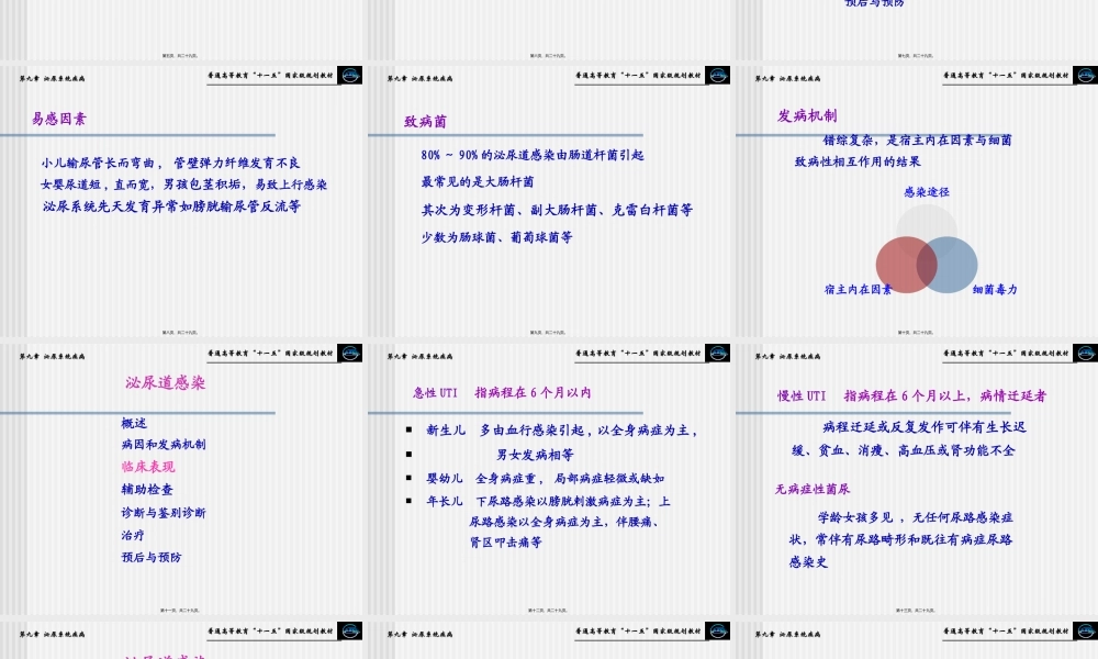 4第四节--泌尿道感染.pptx