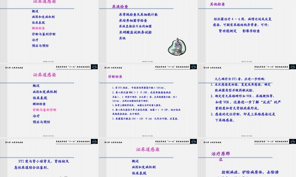 4第四节--泌尿道感染.pptx