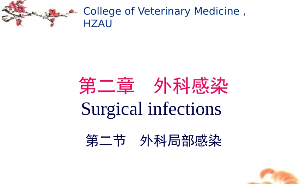 4第二章外科局部感染.pptx