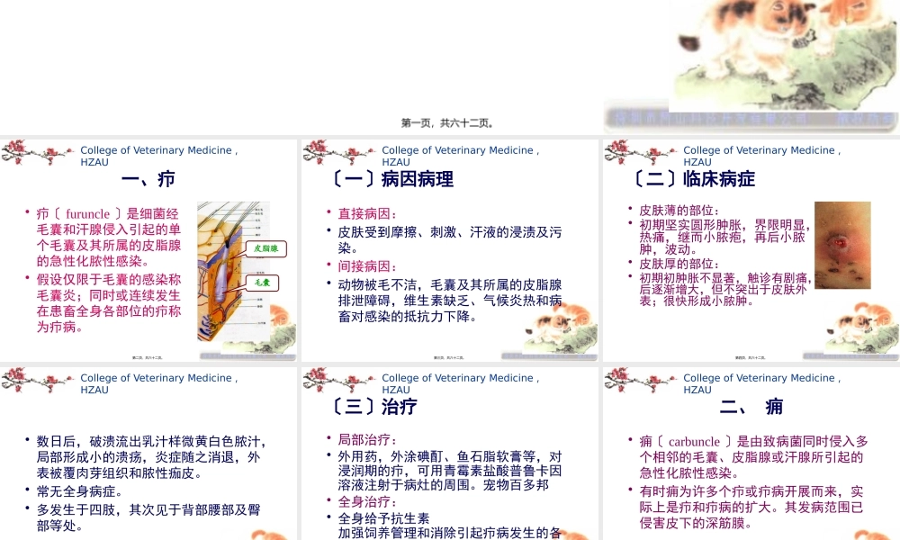 4第二章外科局部感染.pptx