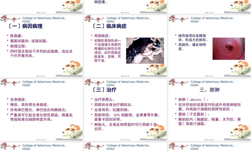 4第二章外科局部感染.pptx