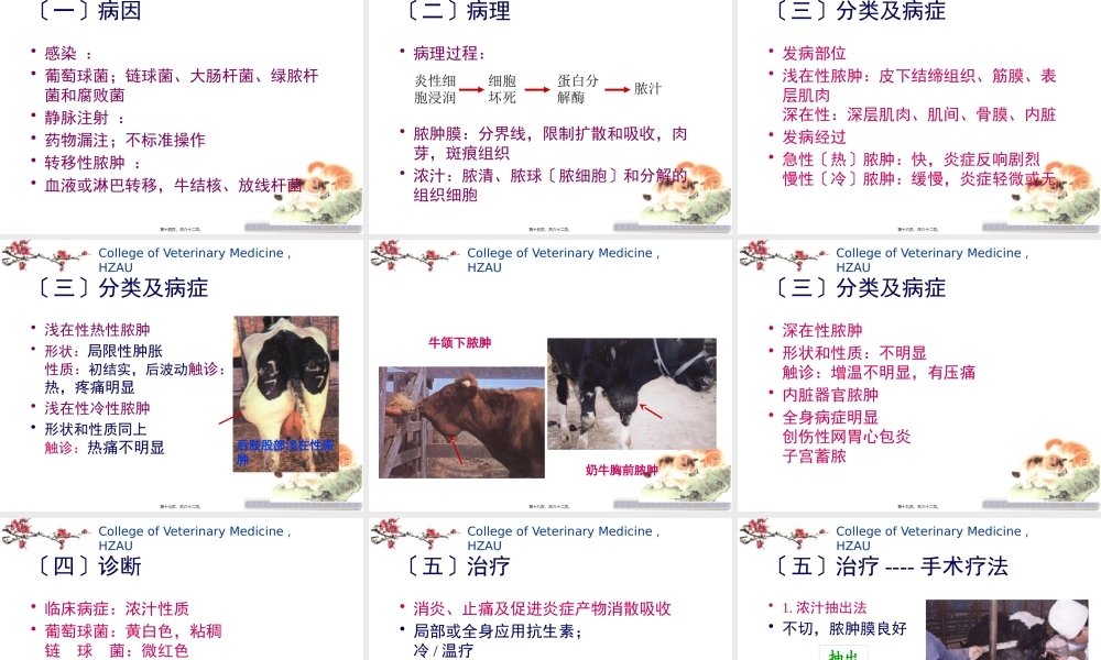 4第二章外科局部感染.pptx