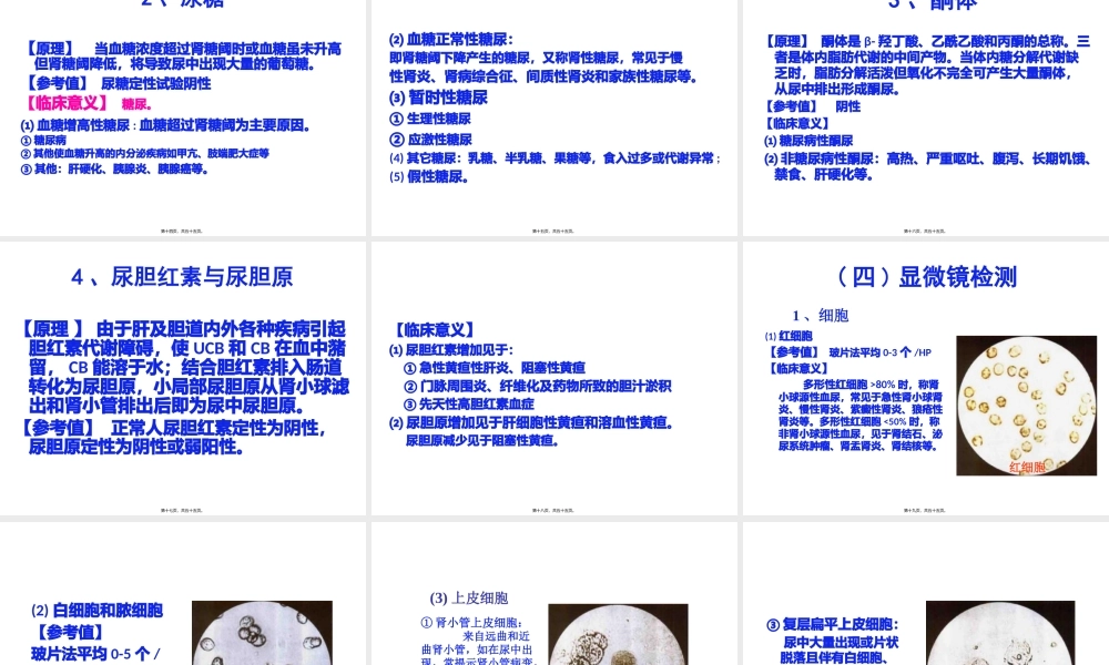 4第四章排泄物、分泌物及体液检测汇总.pptx