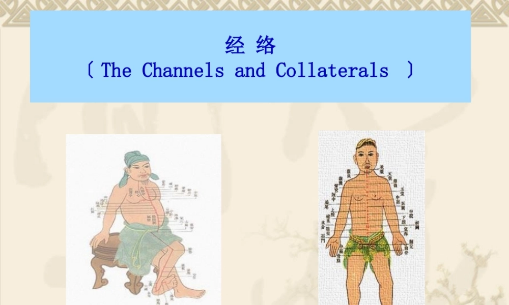 4经络-病因教程.pptx