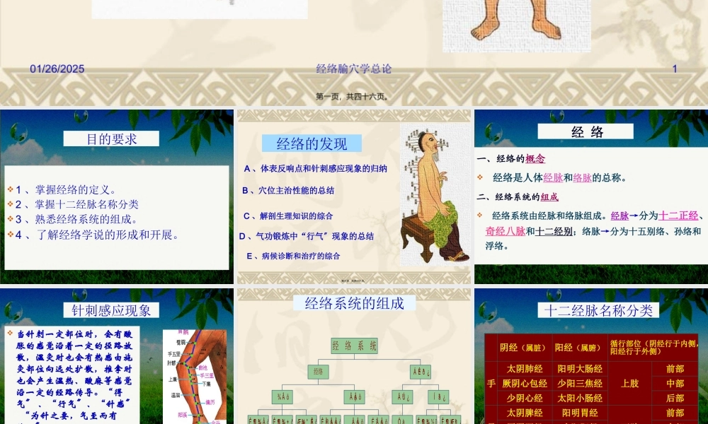 4经络-病因教程.pptx