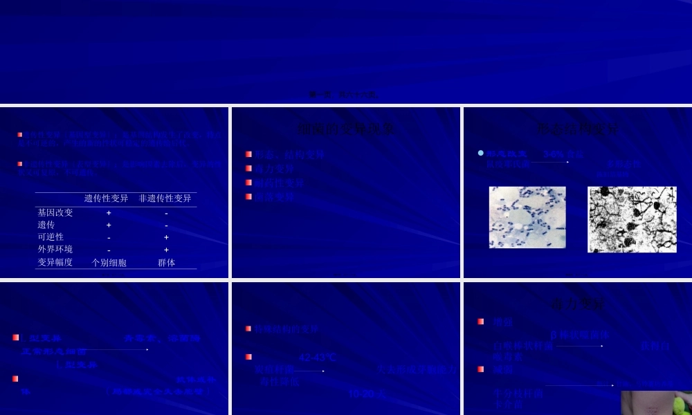 4细菌的遗传和变异.pptx