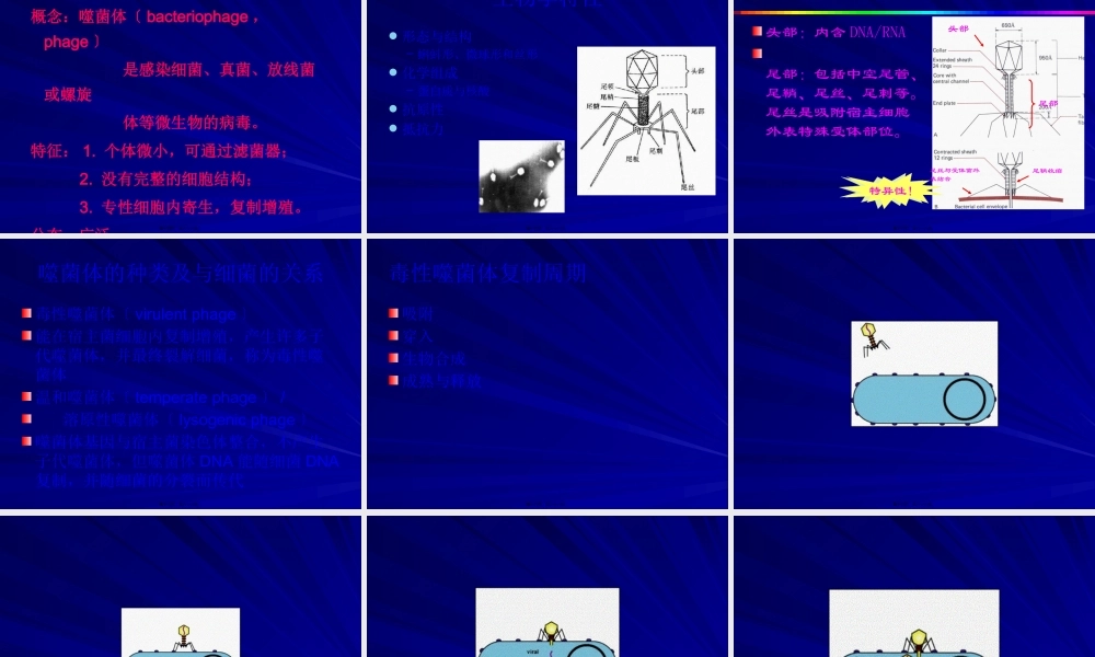 4细菌的遗传和变异.pptx