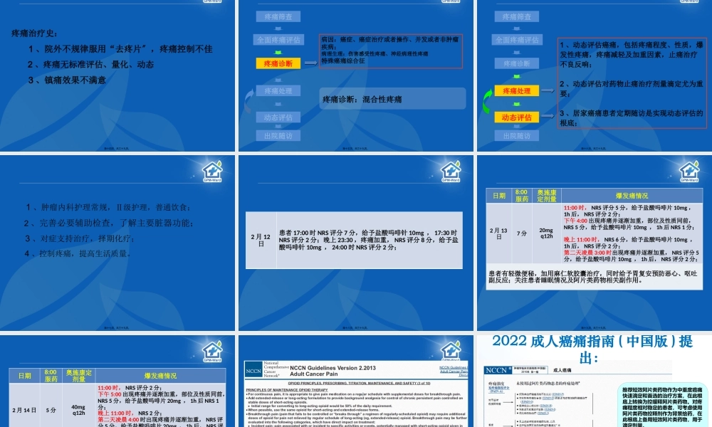 5-16癌痛病例分享(郑大一附院王峰).pptx