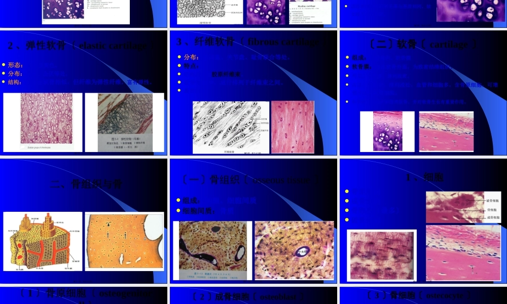 5--软骨组织与骨组织.pptx