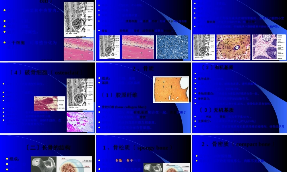 5--软骨组织与骨组织.pptx