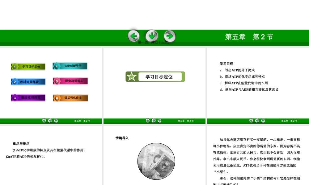 5-2细胞的能量“通货”——ATP.pptx