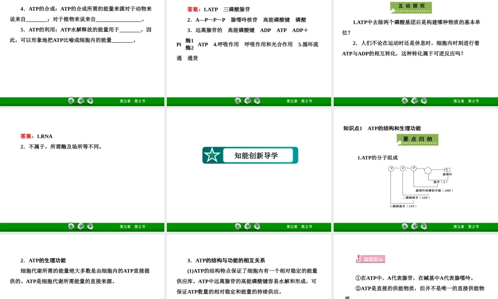 5-2细胞的能量“通货”——ATP.pptx