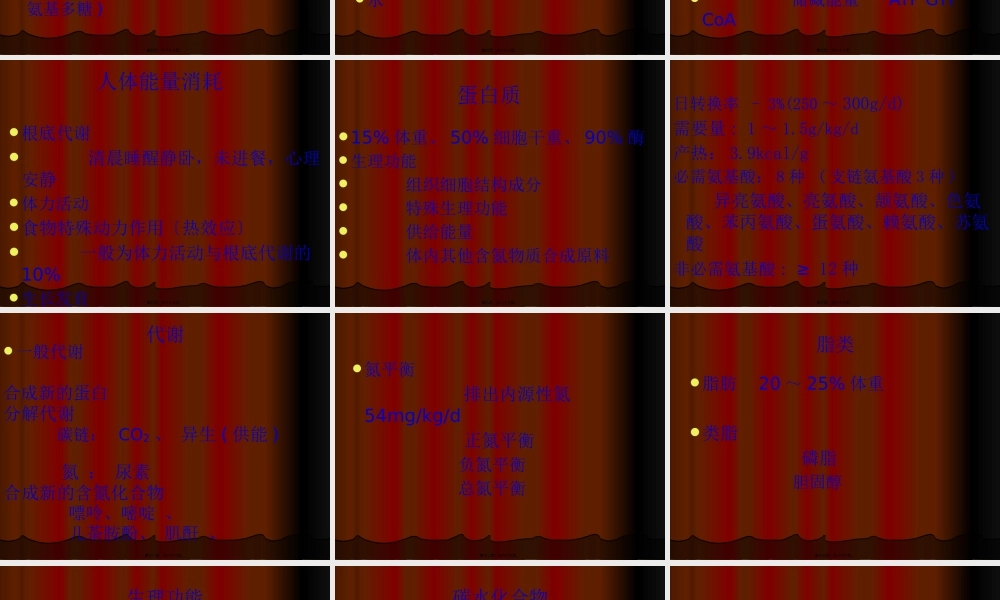 5-2外科营养.pptx