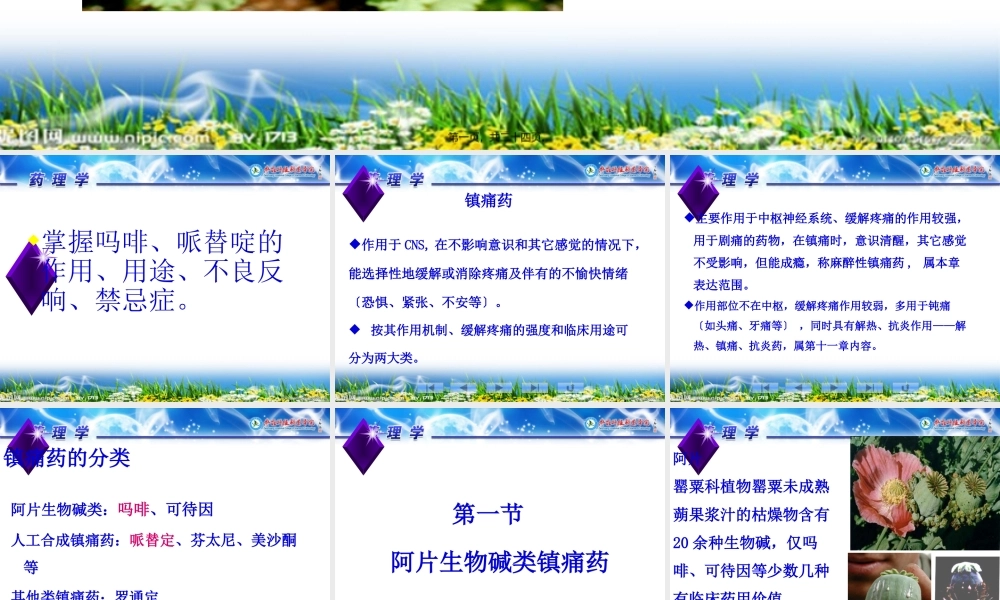 5-3-常用镇痛药.pptx