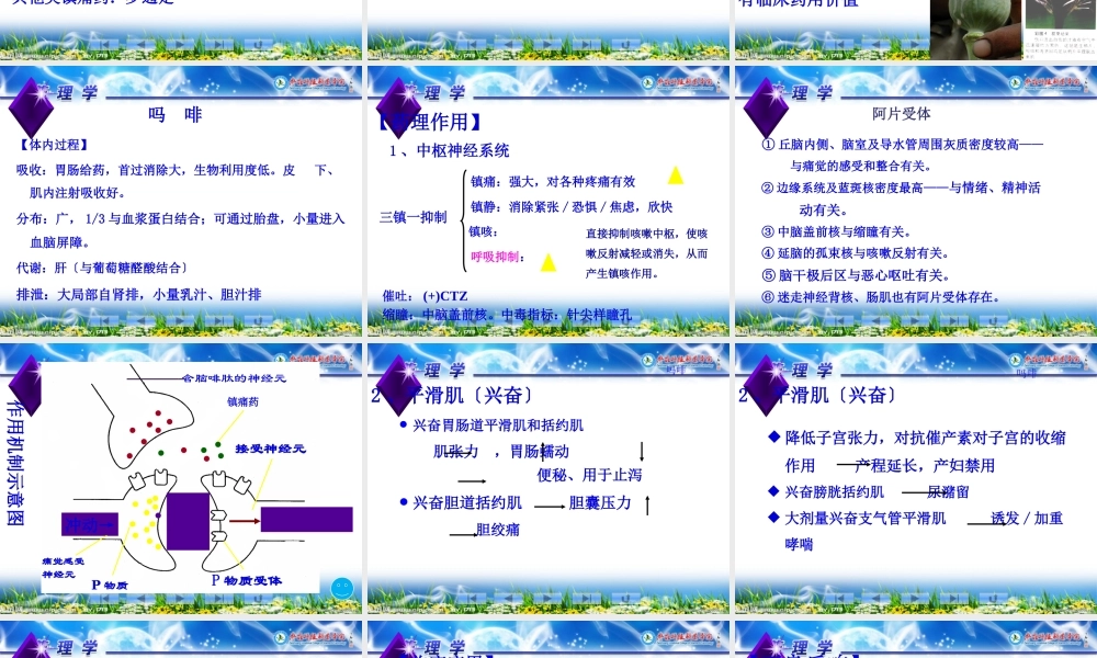 5-3-常用镇痛药.pptx