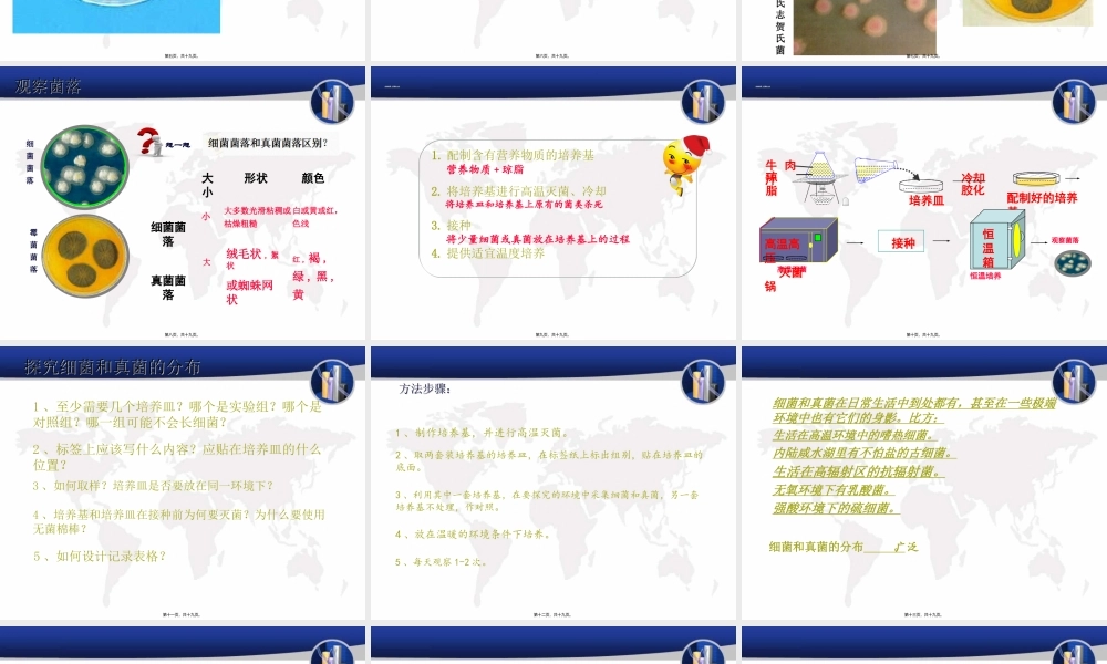 5-4-1-细菌和真菌的分布.ppt