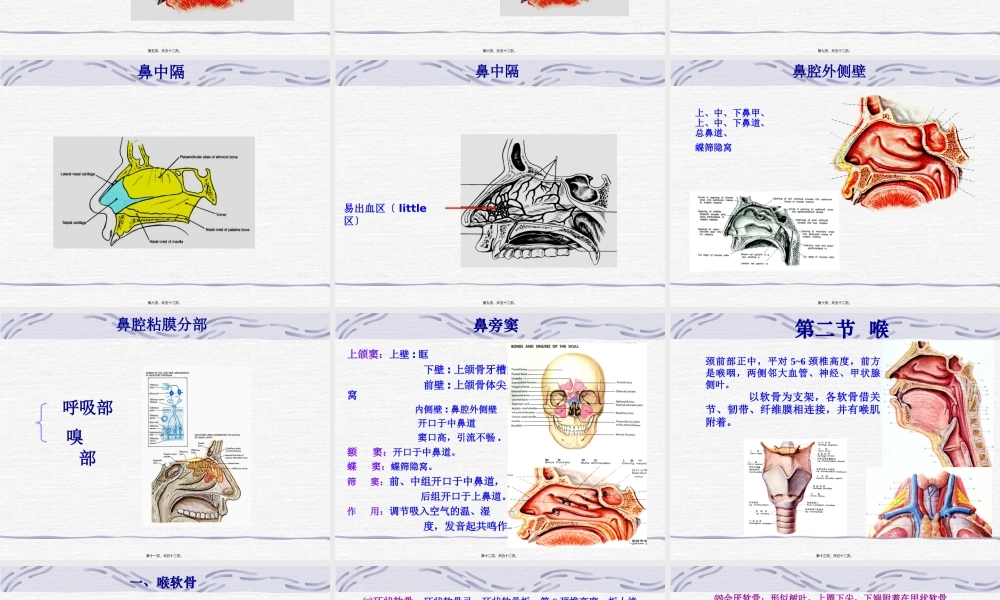 5-呼吸、泌尿.pptx