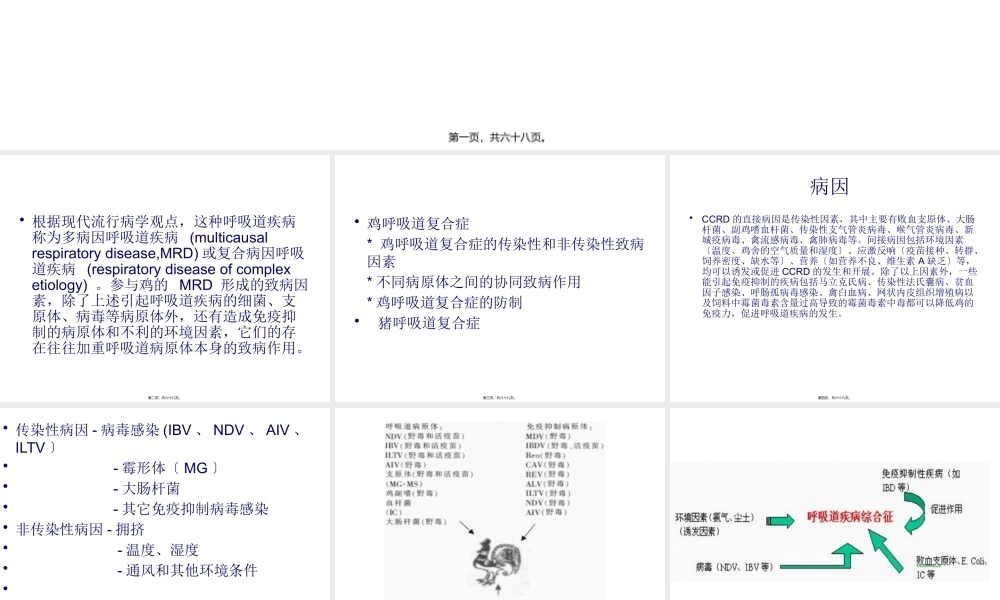 5-呼吸道复合症.pptx