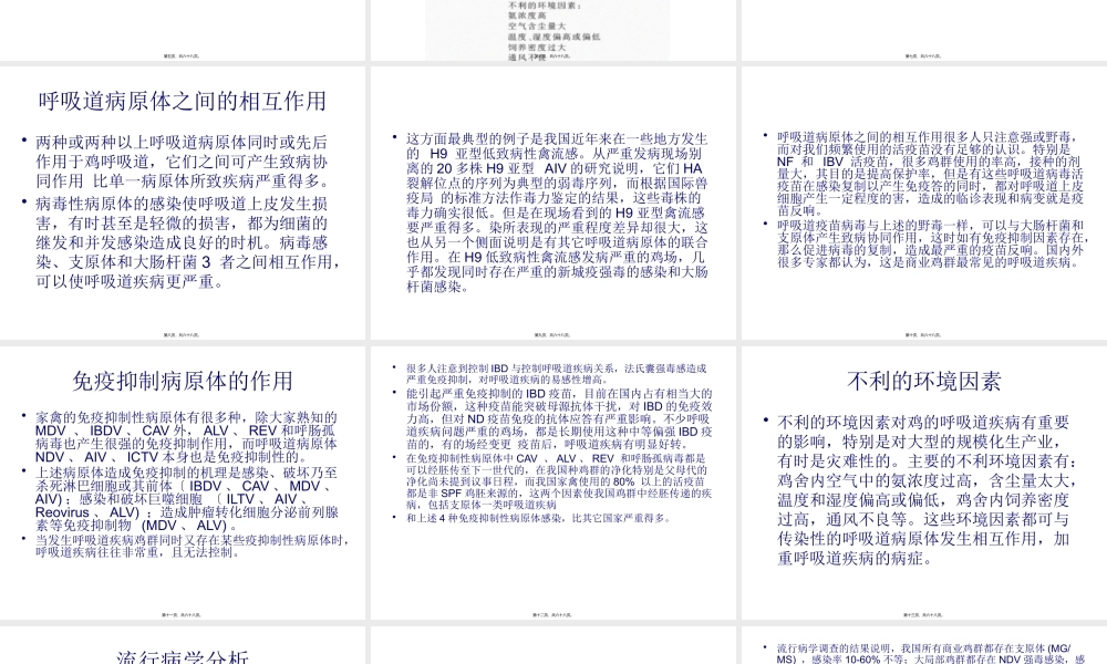 5-呼吸道复合症.pptx